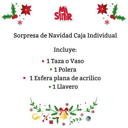 Sorpresa de Navidad Individual- Harry Potter ⚡